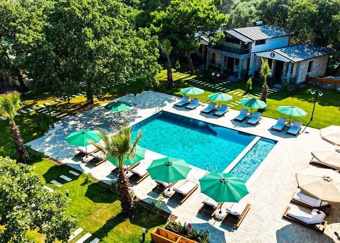 Elasu * בודרום